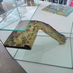 terrarium dekoracio teknosnek