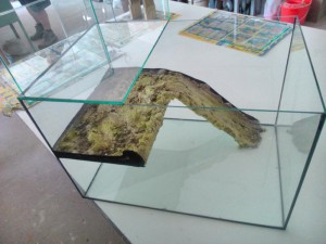 terrarium dekoracio teknosnek